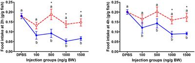 Differential Roles of Two Leptin Gene Paralogues on Food Intake and Hepatic Metabolism Regulation in Mandarin Fish